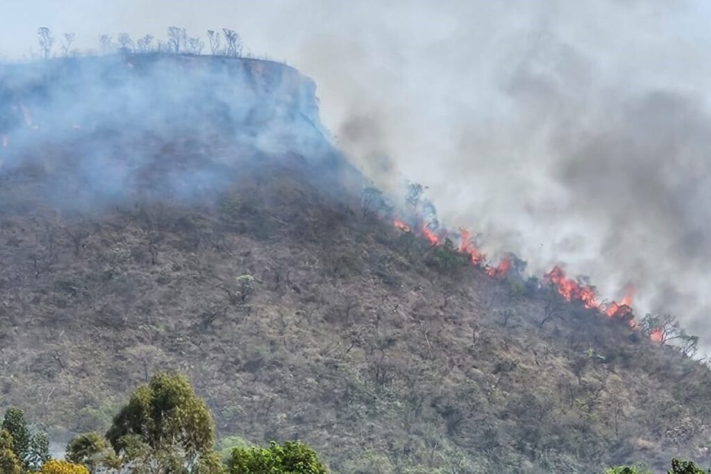 Defesa Civil alerta para risco de incêndio em SP com a chegada da Primavera