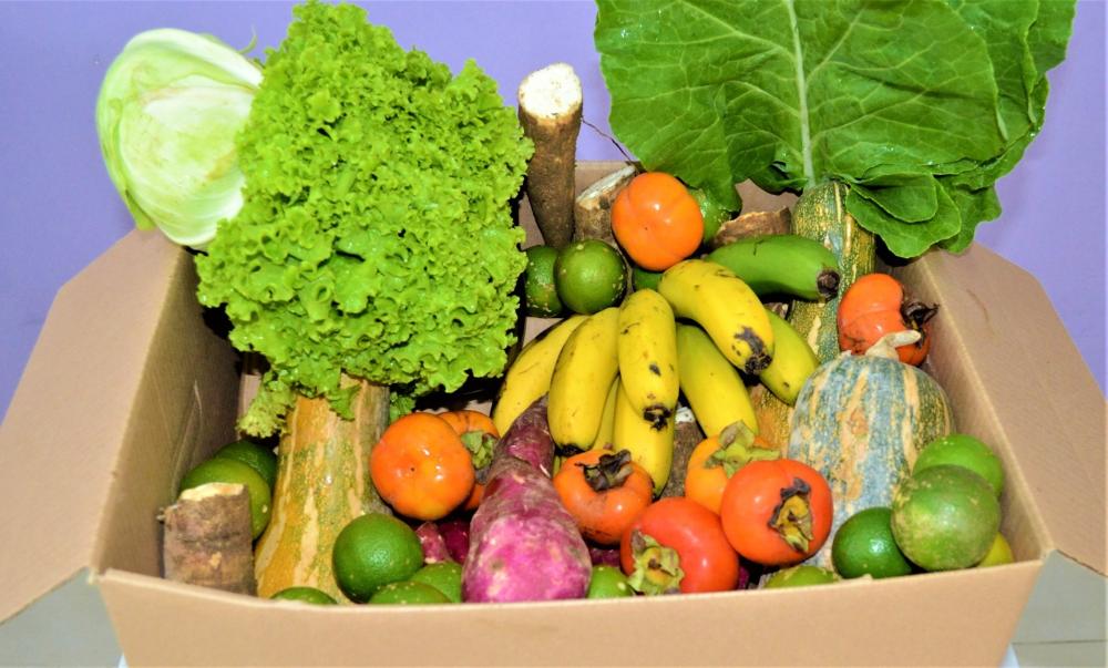 Inflação de Alimentos Pode Aumentar em Setembro Devido à Estiagem e Queimadas