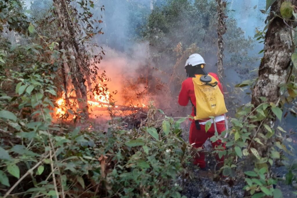 Interior de SP: 4 Municípios Identificados com Focos Ativos de Incêndio