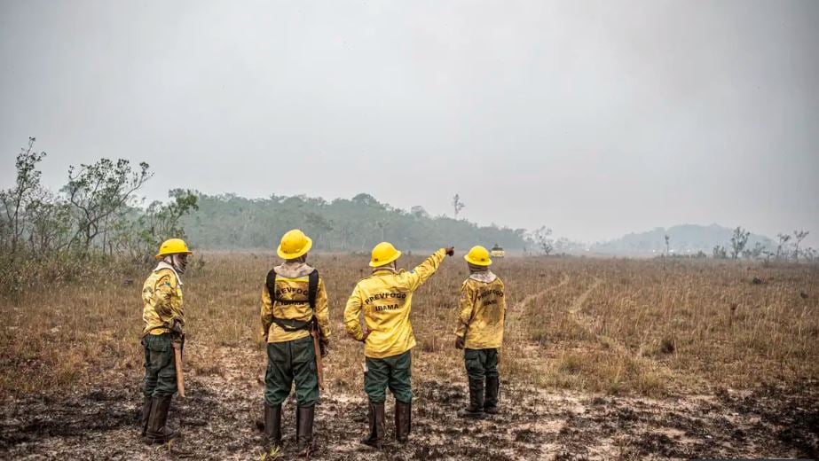 Ministro adota modelo de gastos anticovid para enfrentar incêndios florestais