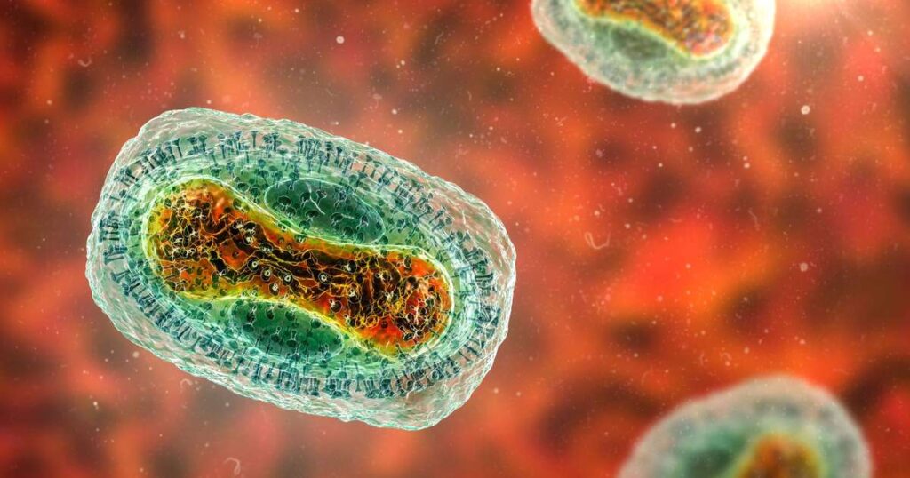 Mpox: principais diferenças entre o surto de 2022 e a situação atual