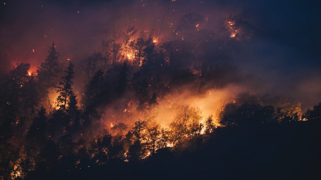Multas Elevadas: 800 Produtores Notificados por Incêndios no Pará