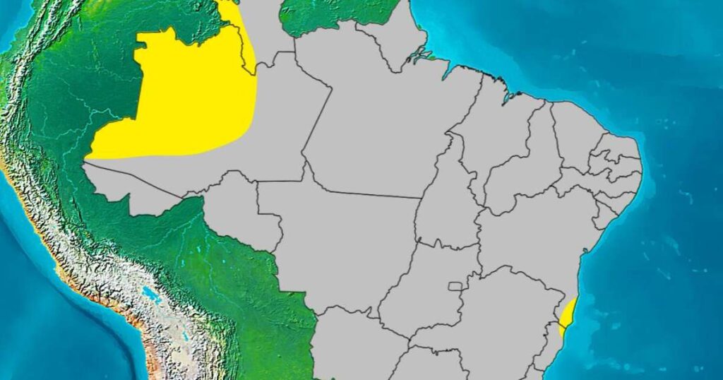 Previsão do Tempo: Terça-feira com Baixa Chuva e Grande Variação Térmica
