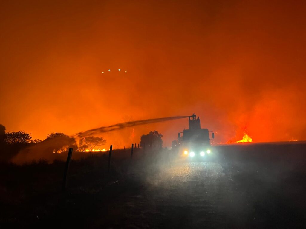 Quebra de 7,4% na Safra de Canaviais do Centro-Sul em 2024/2025; 5% da Área Afetada por Incêndios, Revela CTC