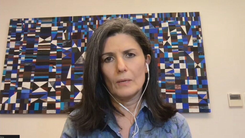 STF Intervém em Queimadas e Destaca Fraqueza do Governo, Afirmam Especialistas