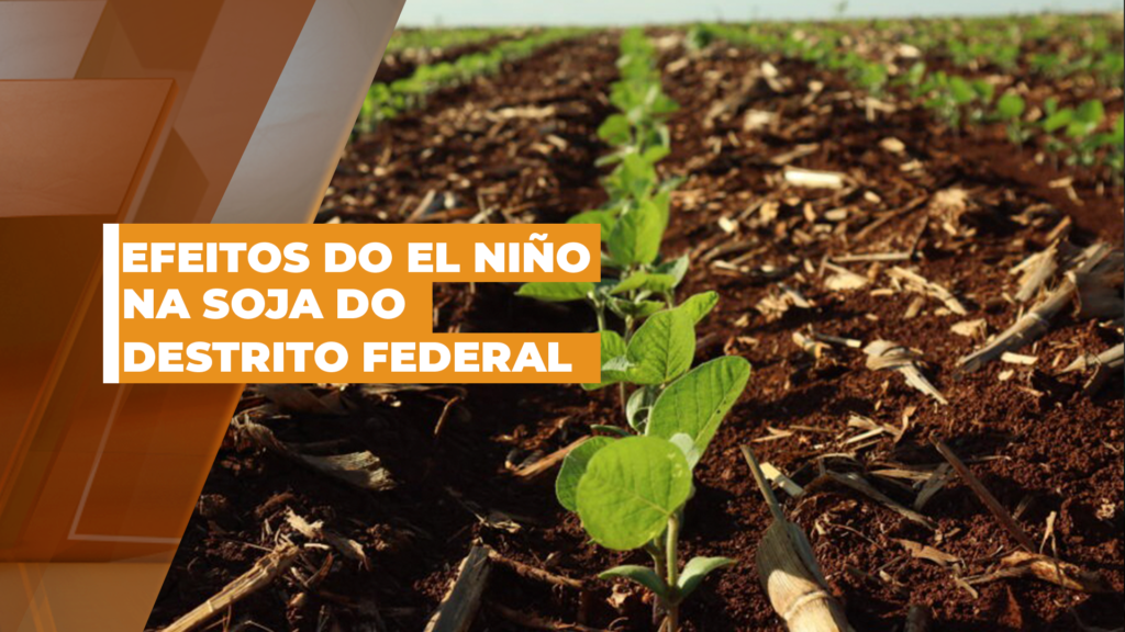 Embrapa Revela Impactos do El Niño na Produção de Soja no Distrito Federal