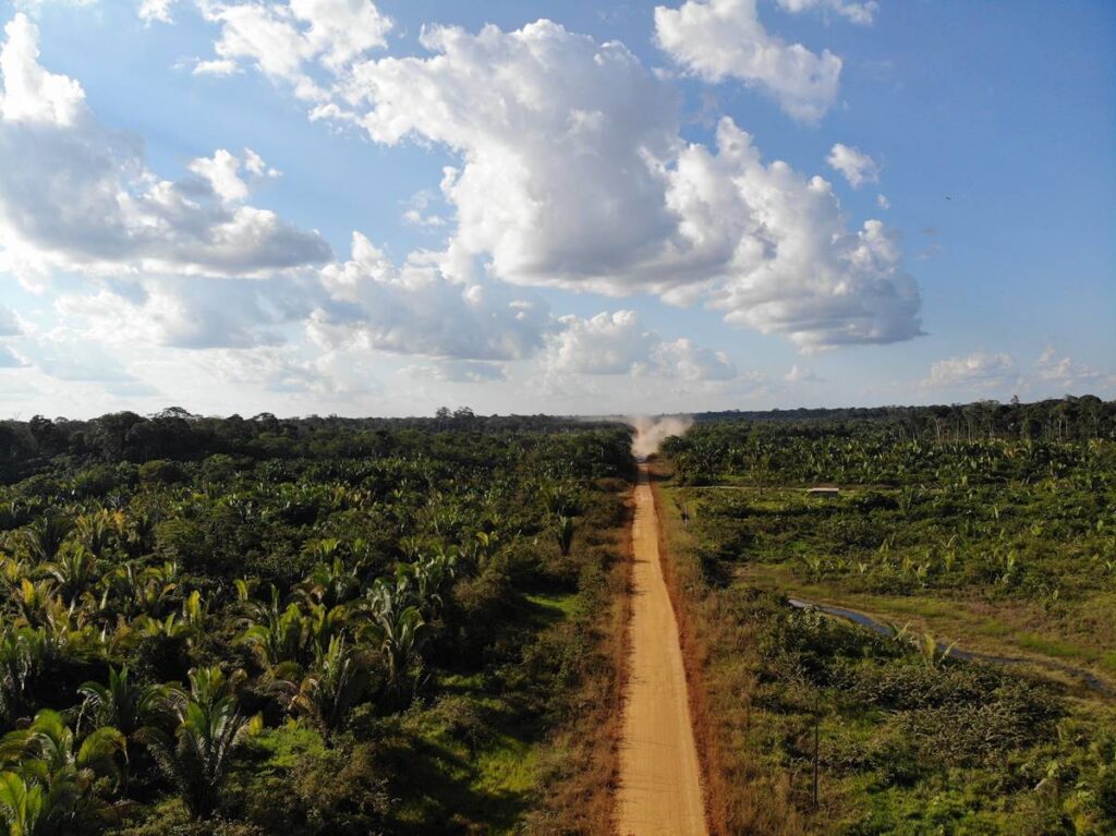 Governo Retoma Estudos para Desbloquear Obras na BR-319 Após Queda de Liminar