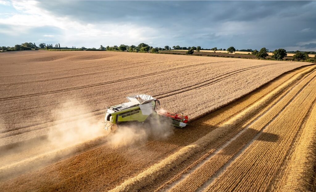 “Perspectivas da Próxima Safra: Clima Favorável, Alta Produção e Incertezas nos Preços Agrícolas”