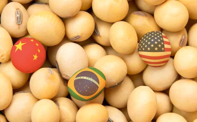 Aproximação Brasil-China Impacta Cotações de Contratos de Soja em Chicago; Confira as Novas Tarifas