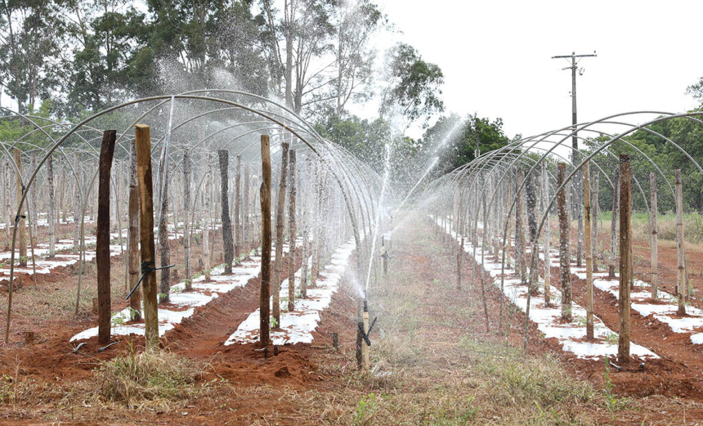 GDF Inaugura Mais de 100 Km de Canais de Irrigação em Planaltina