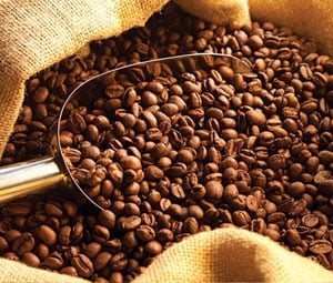 Preços do Café Atingem Alta de 3 Semanas e Registram Ganhos de 4% na Bolsa de Londres Nesta Sexta-Feira (22)