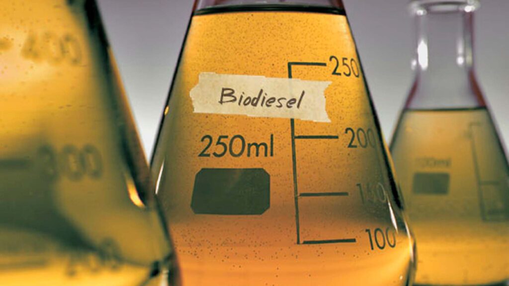 Biocombustíveis: A Importância na Agricultura Brasileira e Seus Benefícios