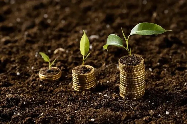 Como Comprovar Prejuízos em Caso de Frustração de Safra?