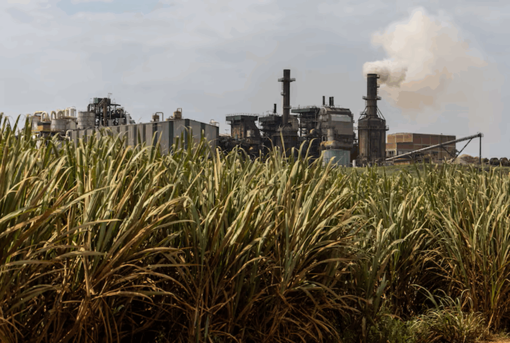 Mercado do Açúcar Sofre Queda com Redução do Petróleo Após Cessar-Fogo entre Israel e Irã