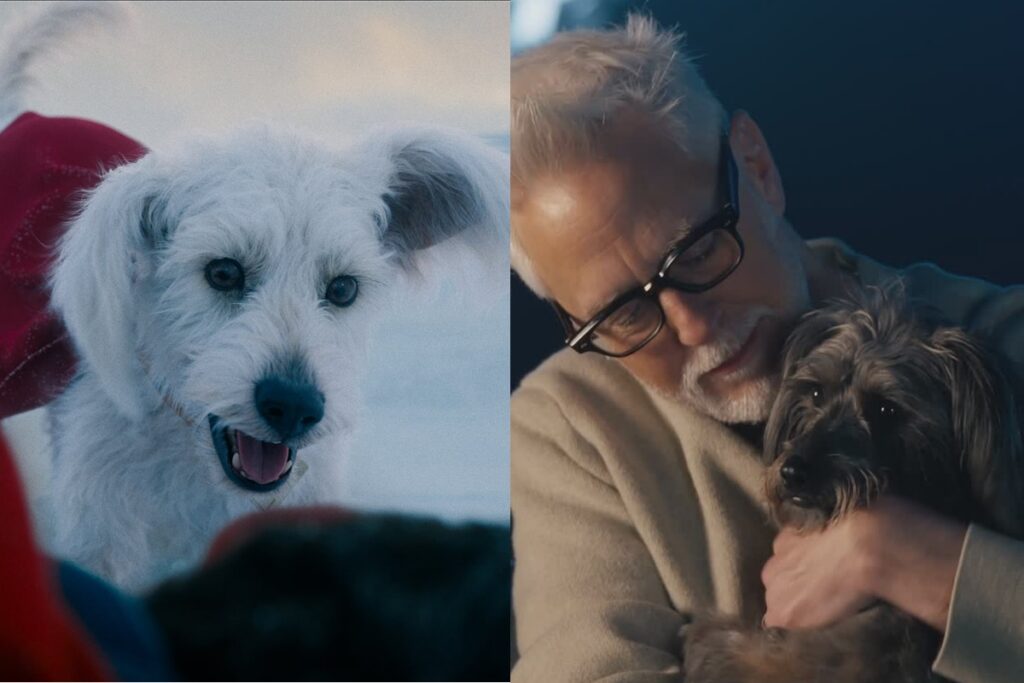 Descubra o Cachorro que Inspirou Krypto, o Companheiro do Superman Imagem do artigo