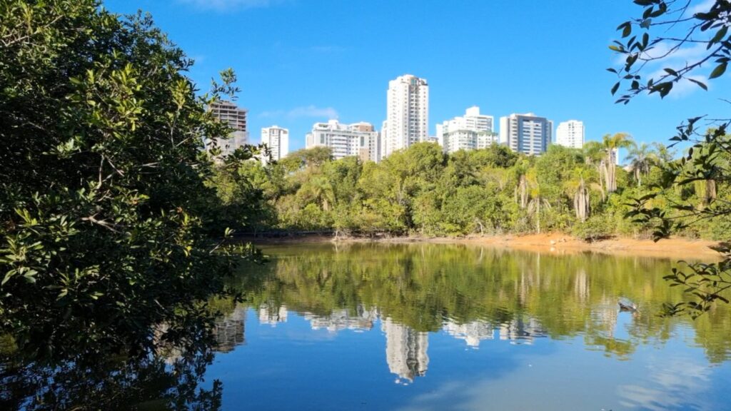 Distrito Federal: A Maior Taxa do Brasil de Habitantes em Unidades de Conservação Imagem do artigo