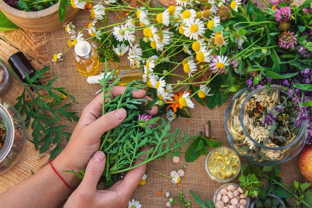 Flor-da-Paixão: A Planta Natural que Combate a Ansiedade Imagem do artigo