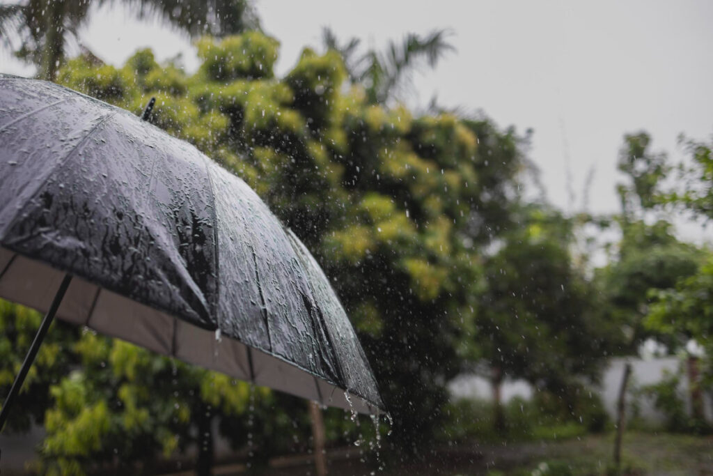 Clima: Chuvas e Geadas Persistem em Diversas Regiões do Brasil; Confira as Previsões Imagem do artigo