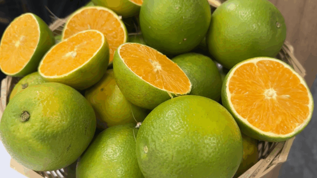 Prejuízos Ameaçam Setor de Suco de Laranja Mesmo Fora do Tarifaço Imagem do artigo