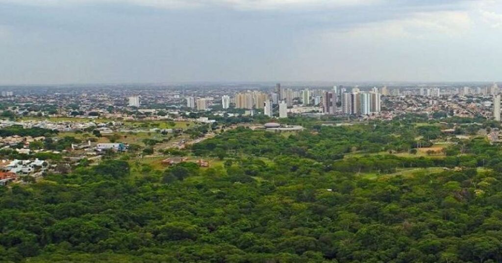 Cidades e Estados Brasileiros com Maior Arborização Urbana: Surpreenda-se com os Números Imagem do artigo