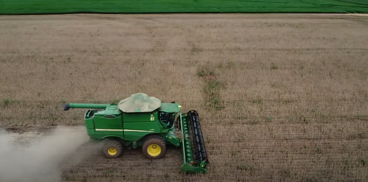 Desvendando o Manejo Pré-Plantio: Dicas para Lidar com Pragas e Plantas Daninhas na Soja Imagem do artigo
