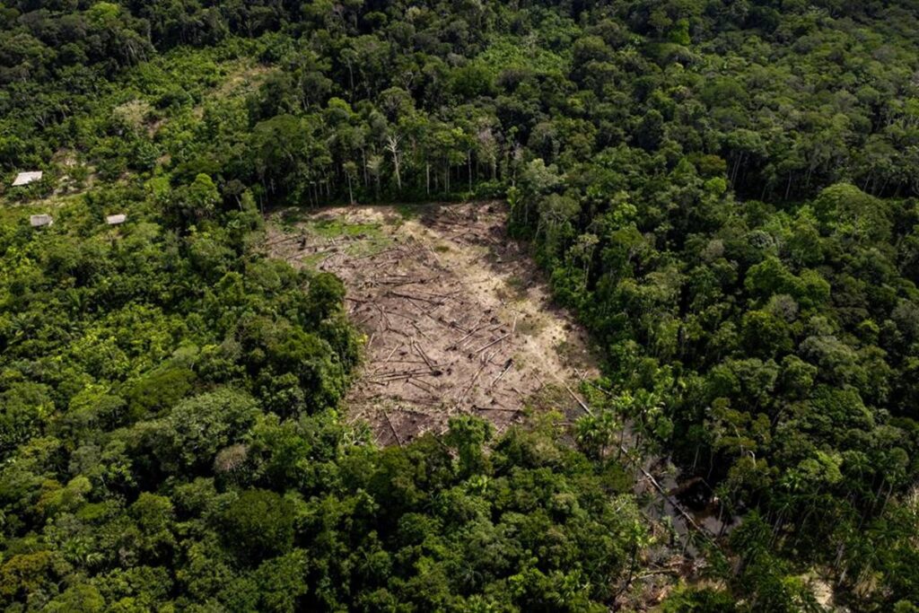 Incêndios na Amazônia e sua Impactante Influência na Qualidade do Ar Global Imagem do artigo
