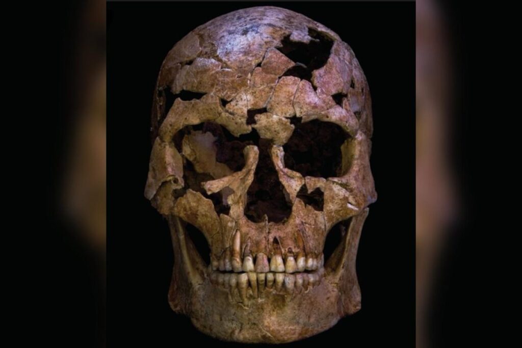 Estudo Revela Assassinato de Homem de 12 Mil Anos no Vietnã Imagem do artigo