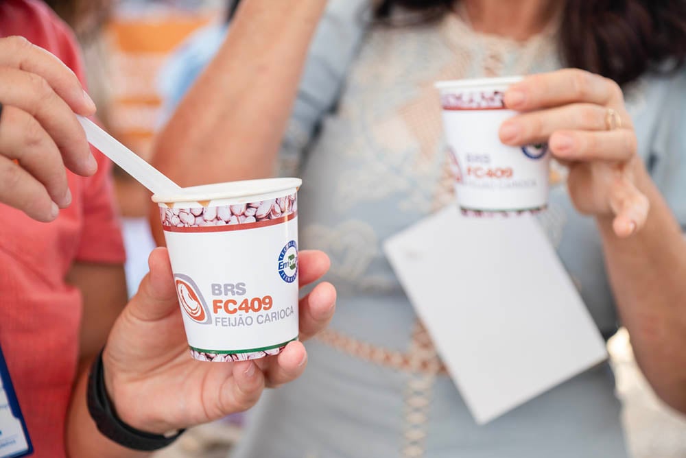 Embrapa Apresenta Novo Feijão Carioca: Uma Revolução Nutricional em Petrolina Imagem do artigo