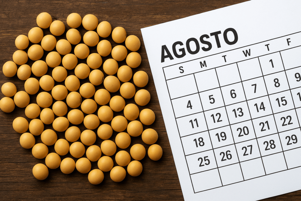 Agosto: Alta nos Preços da Soja no Brasil Impulsiona Mercado Imagem do artigo
