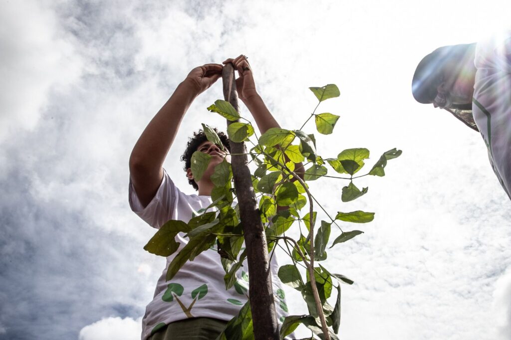 DF se Destaca em Ações de Preservação do Cerrado em 2025 DF se Destaca em Ações de Preservação do Cerrado em 2025