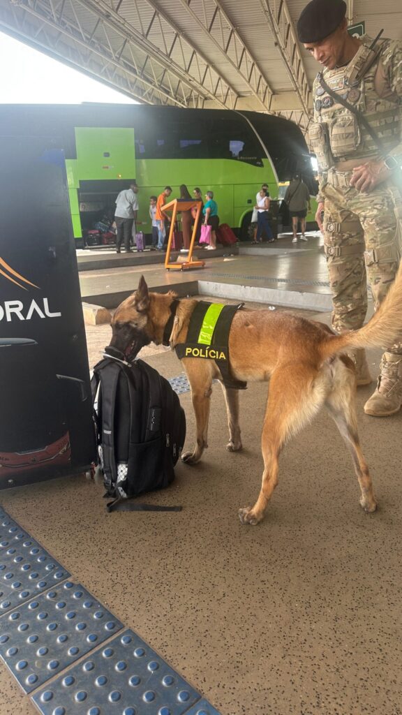 Policiamento Canino Intensifica Ações na Rodoviária do Plano Piloto Policiamento Canino Intensifica Ações na Rodoviária do Plano Piloto