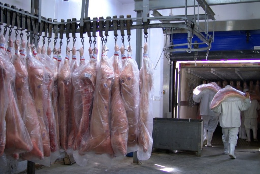 Brasil Alcança Recorde Histórico nas Exportações de Carne Suína em 2025 Brasil Alcança Recorde Histórico nas Exportações de Carne Suína em 2025