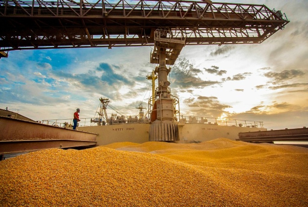 Brasil Bate Recorde em Exportações de Milho em Janeiro de 2026 Brasil Bate Recorde em Exportações de Milho em Janeiro de 2026