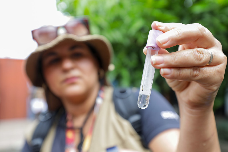 DF Registra Queda de 96% nos Casos de Dengue em 2025: Uma Vitória da Saúde Pública DF Registra Queda de 96% nos Casos de Dengue em 2025: Uma Vitória da Saúde Pública