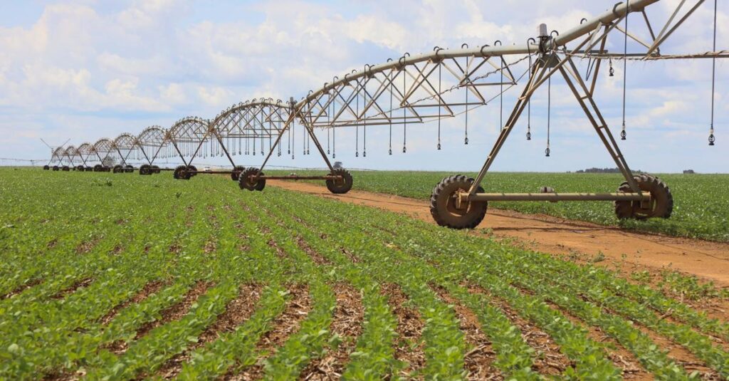 Exportações do Agronegócio Brasileiro Batem Recorde em 2025 com US$ 169 Bilhões Exportações do Agronegócio Brasileiro Batem Recorde em 2025 com US$ 169 Bilhões
