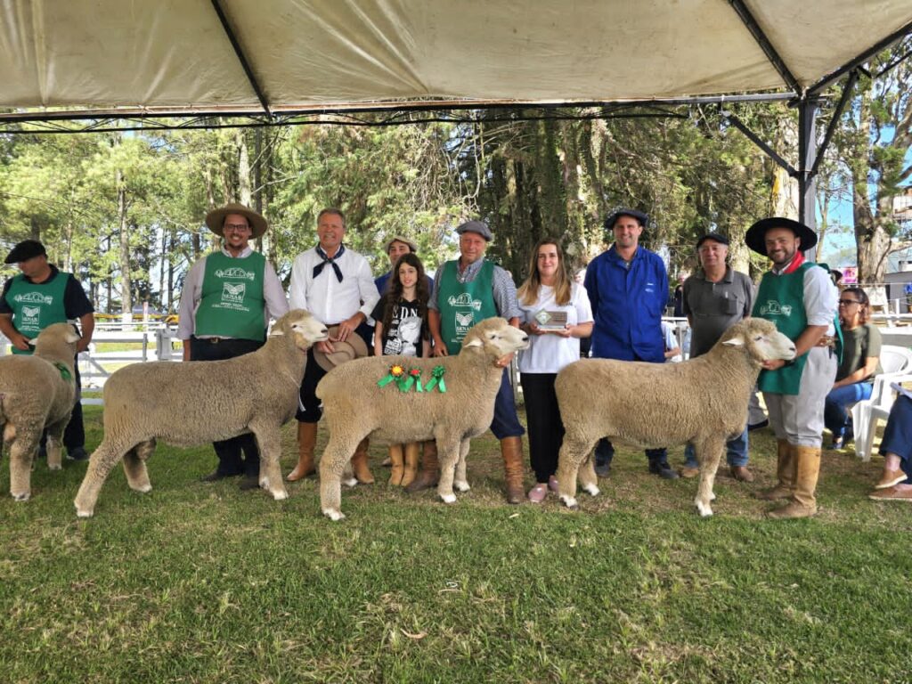 Feovelha 2026: Oportunidades no Agronegócio e Entretenimento no ‘Feovelha Show’ Feovelha 2026: Oportunidades no Agronegócio e Entretenimento no 'Feovelha Show'