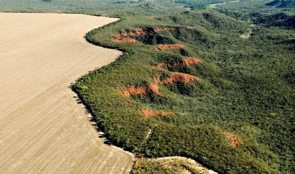 Manifesto dos Agrônomos: União para Fortalecer o Agro no Cerrado Manifesto dos Agrônomos: União para Fortalecer o Agro no Cerrado