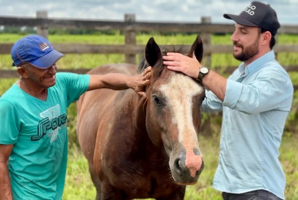 ABCCC Expande Atuação do Cavalo Crioulo no Norte do Brasil ABCCC Expande Atuação do Cavalo Crioulo no Norte do Brasil