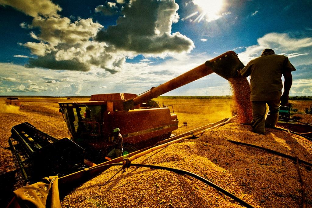 Alta na Produção de Grãos no Nordeste: Piauí Lidera Expansão em 2026 Alta na Produção de Grãos no Nordeste: Piauí Lidera Expansão em 2026