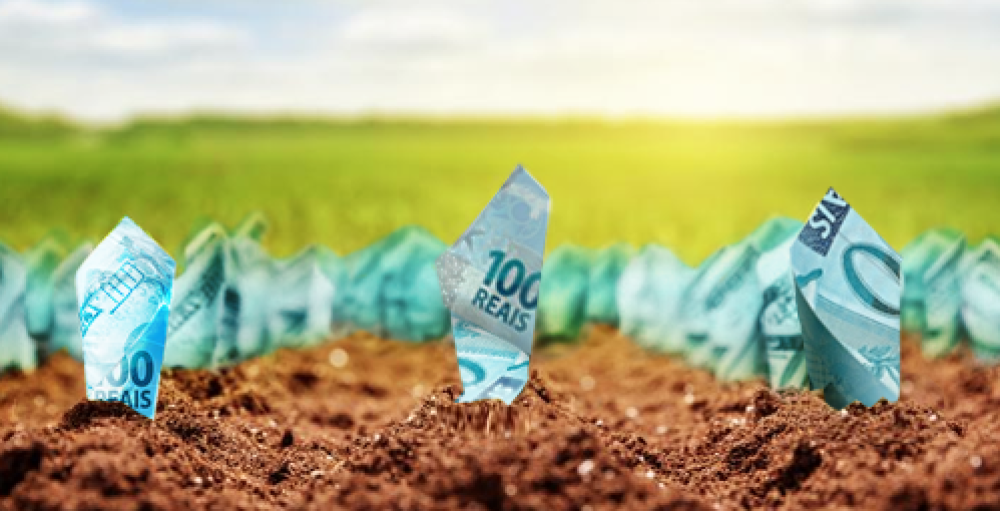 Como Mudanças no Sistema Financeiro Podem Impactar o Crédito Rural Como Mudanças no Sistema Financeiro Podem Impactar o Crédito Rural