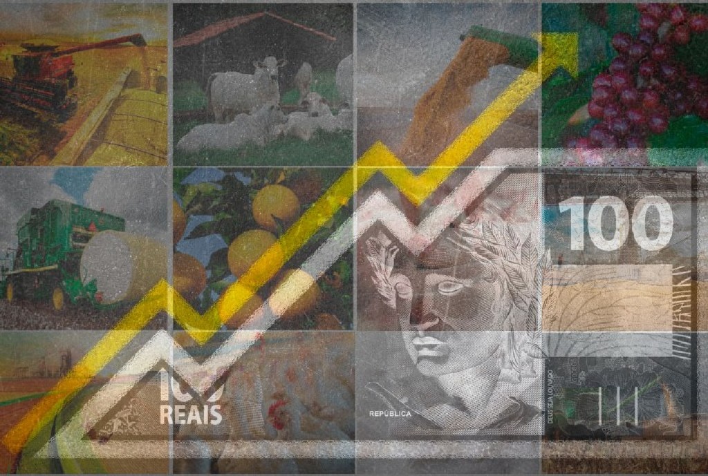 Conferência FAO em Brasília: Inflação Alimentar e Segurança Alimentar em Foco Conferência FAO em Brasília: Inflação Alimentar e Segurança Alimentar em Foco