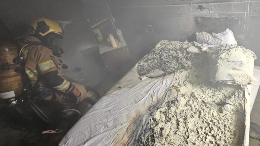 Gatos Resgatados em Incêndio em Apartamento na Asa Norte, Brasília Gatos Resgatados em Incêndio em Apartamento na Asa Norte, Brasília
