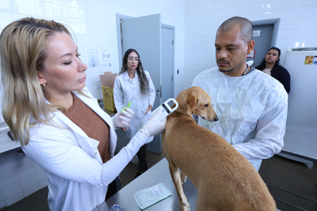 Microchipagem e Vacinação Gratuita para Cães em Brasília: Participe do Carnapatinhas Microchipagem e Vacinação Gratuita para Cães em Brasília: Participe do Carnapatinhas