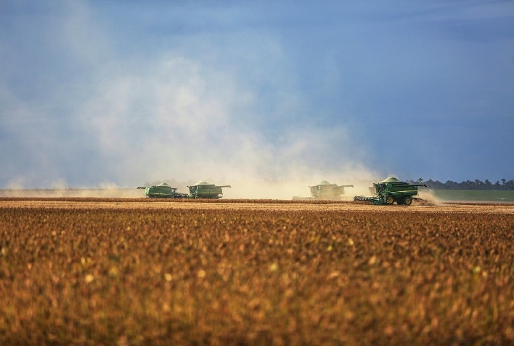 Safra de Soja 2025/26 no Brasil deve alcançar 181,3 milhões de toneladas, diz Céleres Safra de Soja 2025/26 no Brasil deve alcançar 181,3 milhões de toneladas, diz Céleres