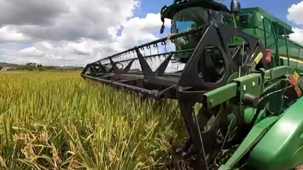 Cooper News SC: A Nova Resenha do Agronegócio na TVBV