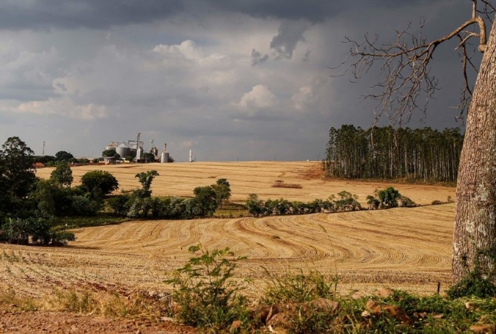 Desenvolvimento Sustentável: Sul do Brasil Impulsiona Produtividade na Safra de Verão 2025/26 Desenvolvimento Sustentável: Sul do Brasil Impulsiona Produtividade na Safra de Verão 2025/26
