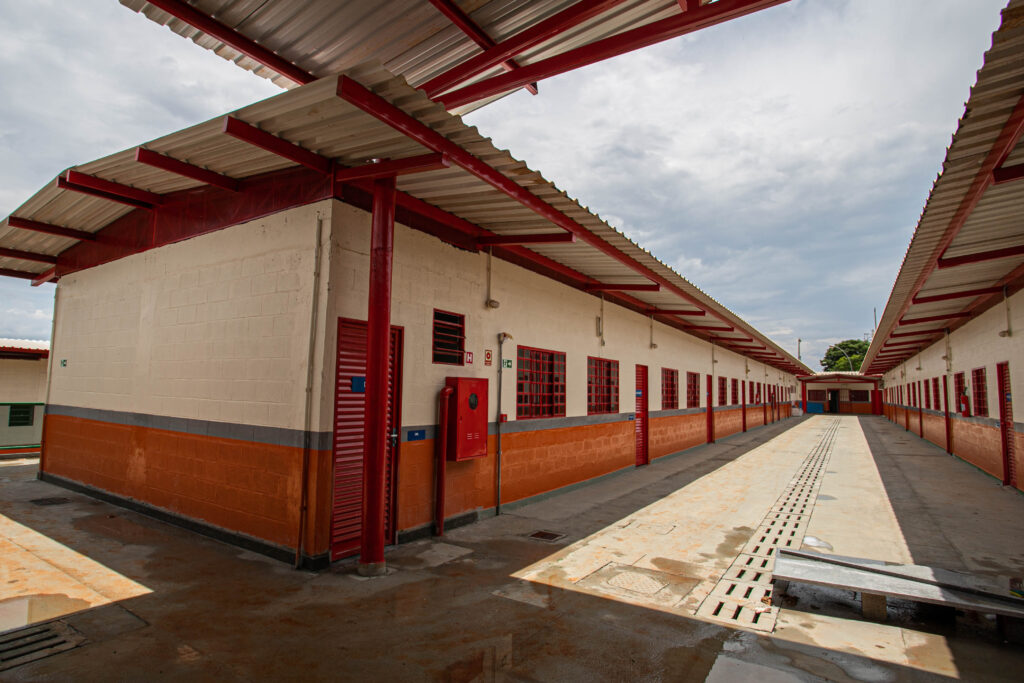 GDF Entrega 14 Novas Escolas de Ensino Fundamental e Médio: Avanços em Educação no DF