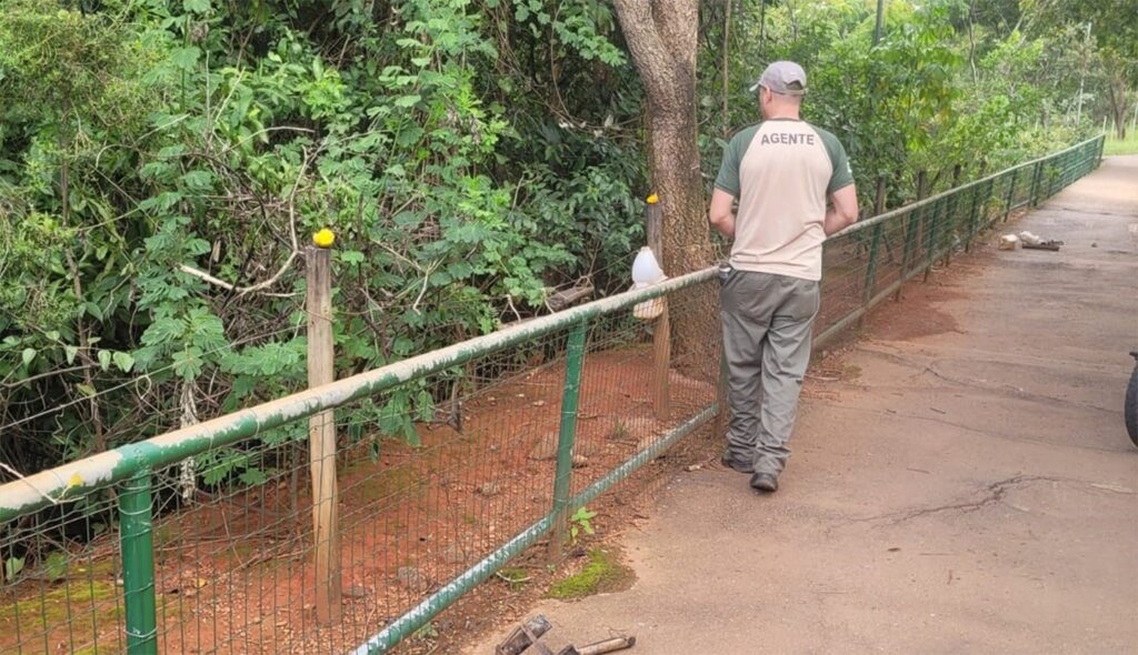 Parque Ecológico Águas Claras Retira Comedouros e Protege a Fauna Silvestre Parque Ecológico Águas Claras Retira Comedouros e Protege a Fauna Silvestre