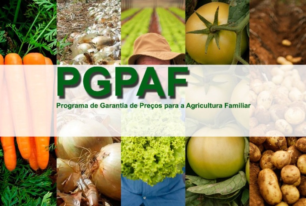 PGPAF de Março: Novidades e Benefícios para Agricultores Familiares PGPAF de Março: Novidades e Benefícios para Agricultores Familiares