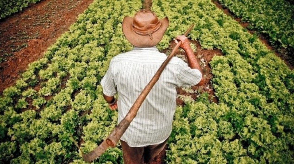 Reforma Trabalhista Rural: Agro no Centro do Debate Legislativo no Senado Reforma Trabalhista Rural: Agro no Centro do Debate Legislativo no Senado